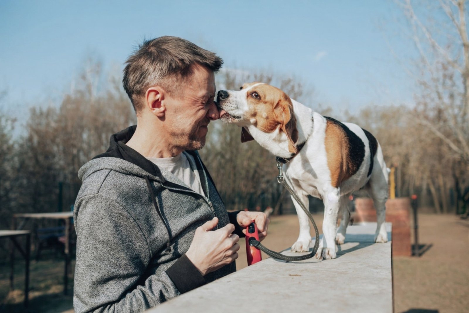 Best training collar for Beagles